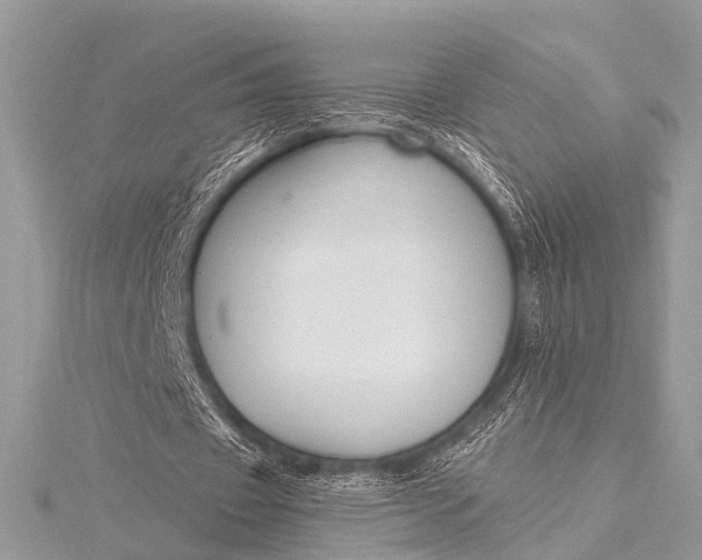 X0000115530433200911201723