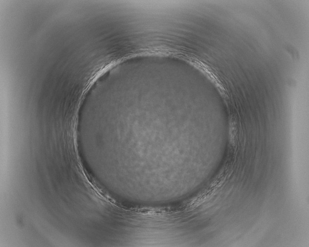 X0000115530434200911201723