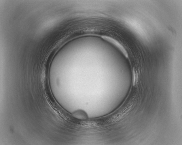 X0000115530435200911201723