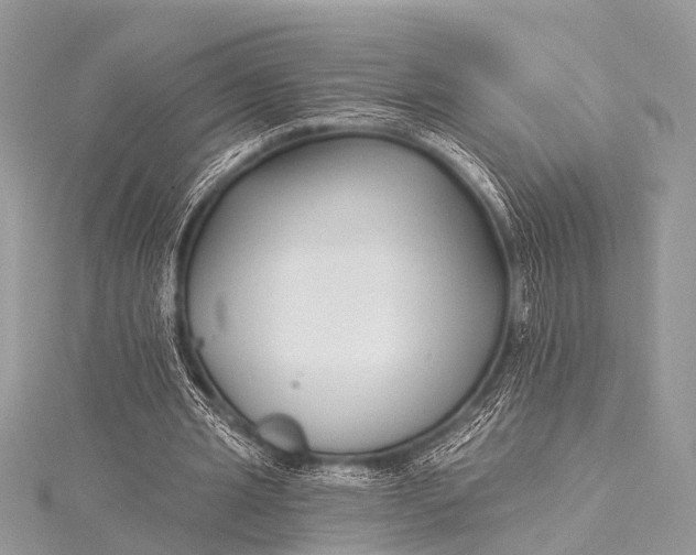 X0000115530437200911201723