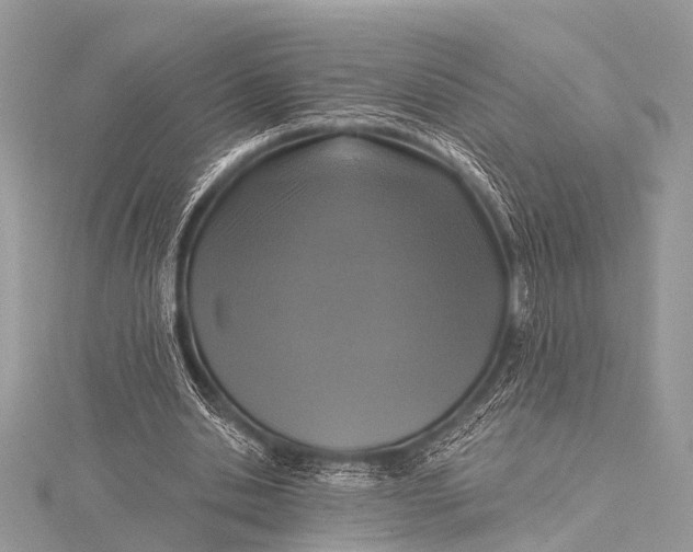 X0000115530438200911201723