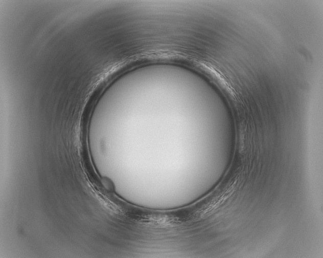 X0000115530439200911201723