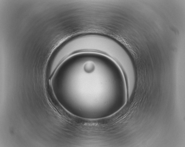 X0000115530440200911201723