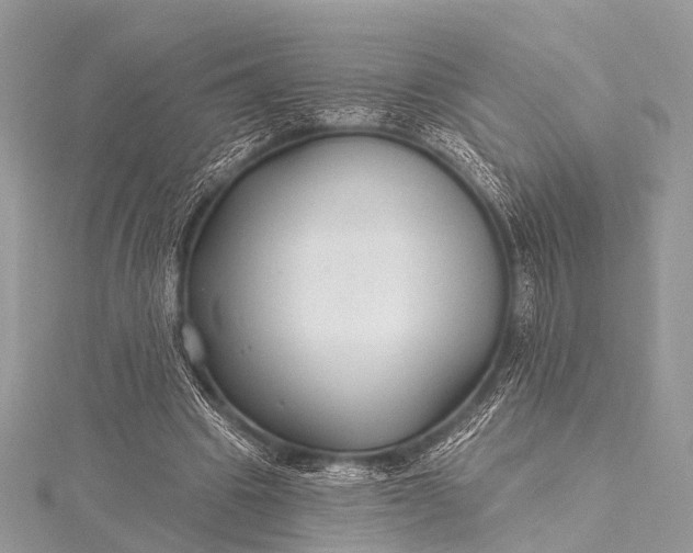 X0000115530441200911201723