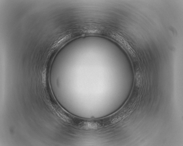 X0000115530442200911201723