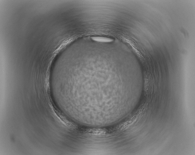 X0000115530443200911201723