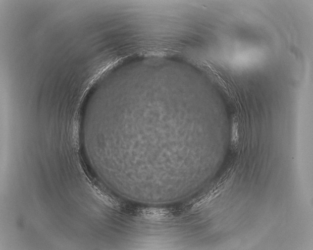 X0000115530444200911201723