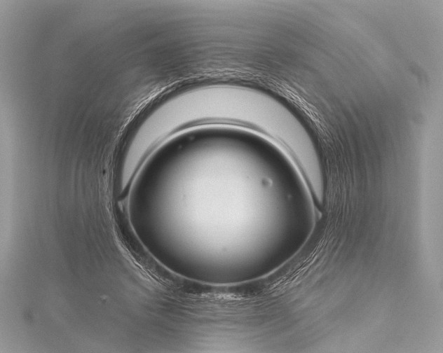 X0000115530448200911201723