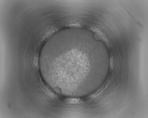 X0000115530449200911201723