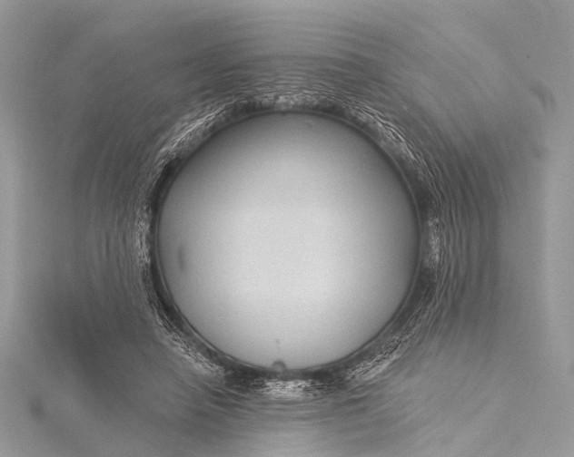 X0000115530450200911201723