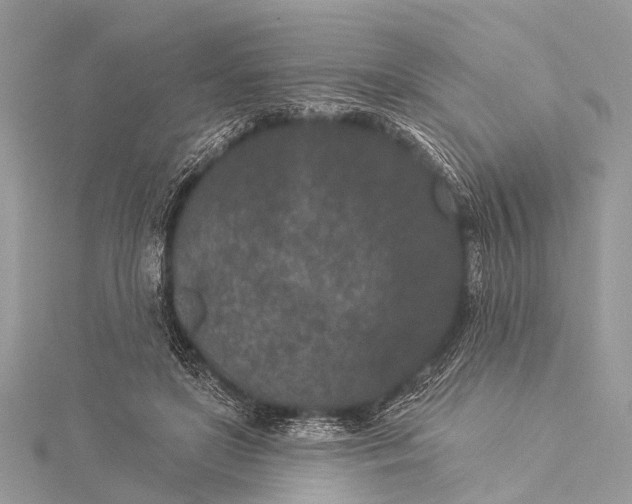 X0000115530451200911201723