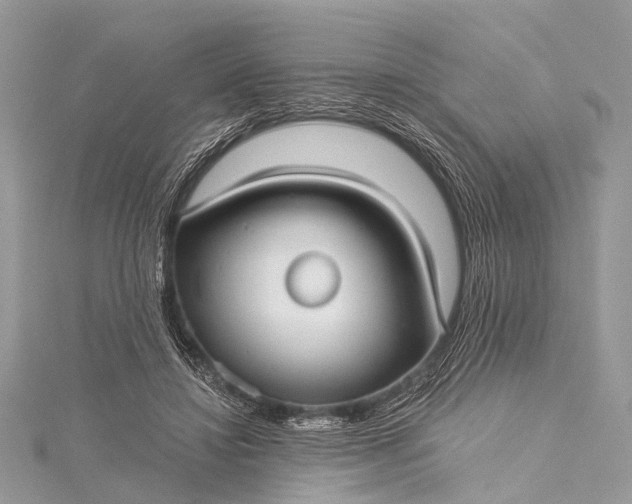 X0000115530452200911201723