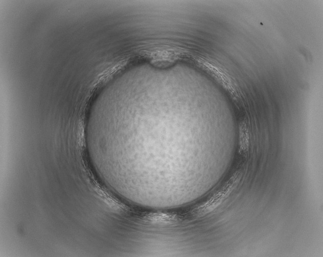 X0000115530453200911201723