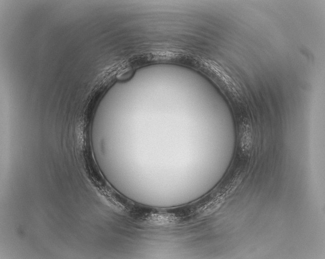 X0000115530455200911201723