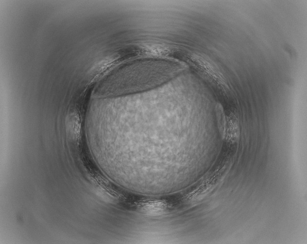 X0000115530456200911201723