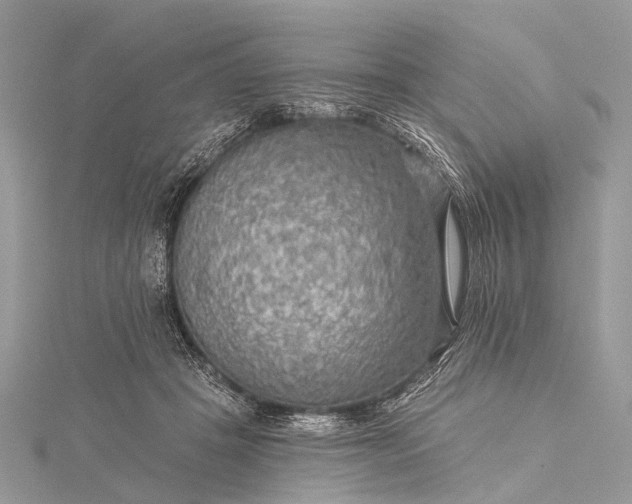 X0000115530457200911201723