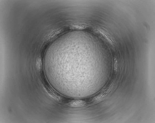 X0000115530459200911201723