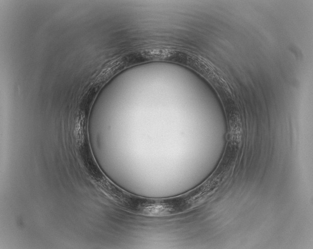 X0000115530460200911201723