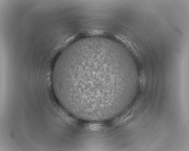 X0000115530462200911201723