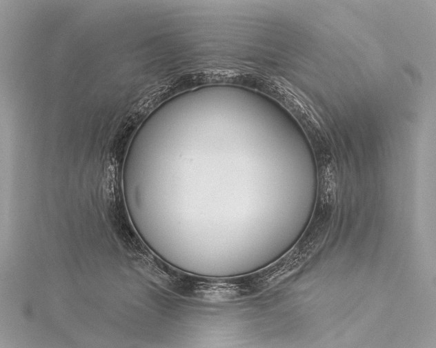 X0000115530463200911201723