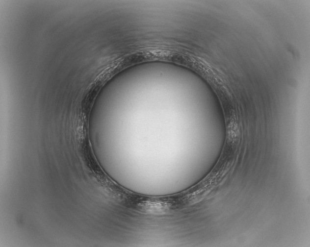 X0000115530464200911201723