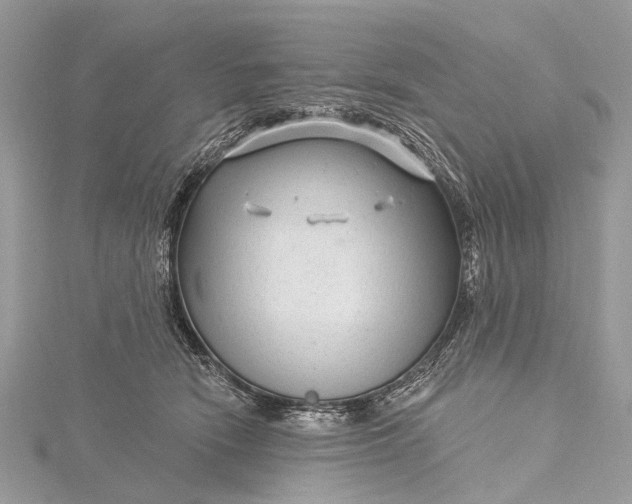 X0000115530466200911201723