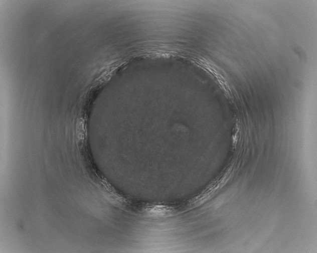 X0000115530467200911201723