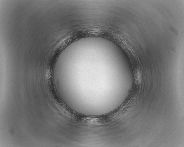 X0000115530472200911201723