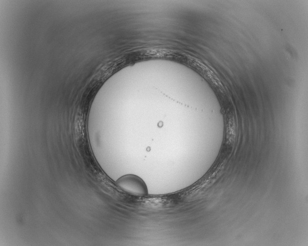 X0000115530473200911201723