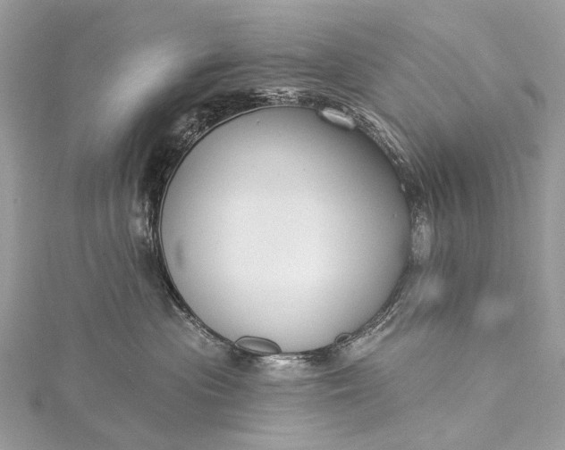 X0000115530477200911201723