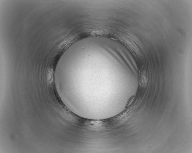 X0000115530478200911201723