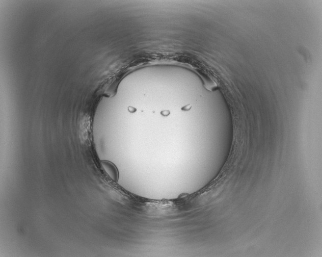 X0000115530480200911201723