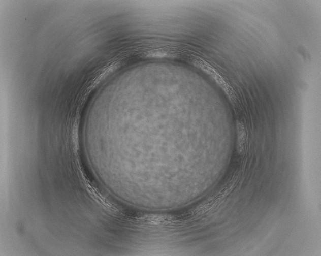 X0000115530482200911201723