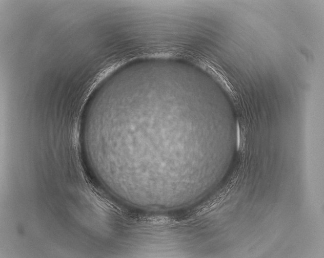 X0000115530483200911201723