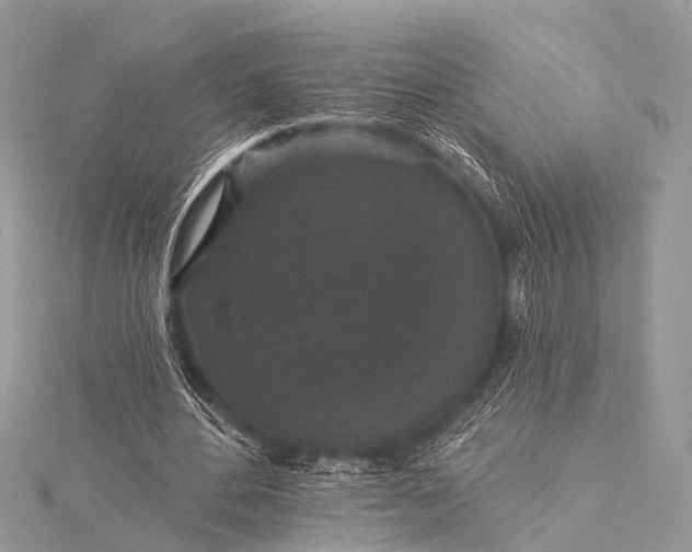 X0000115530484200911201722