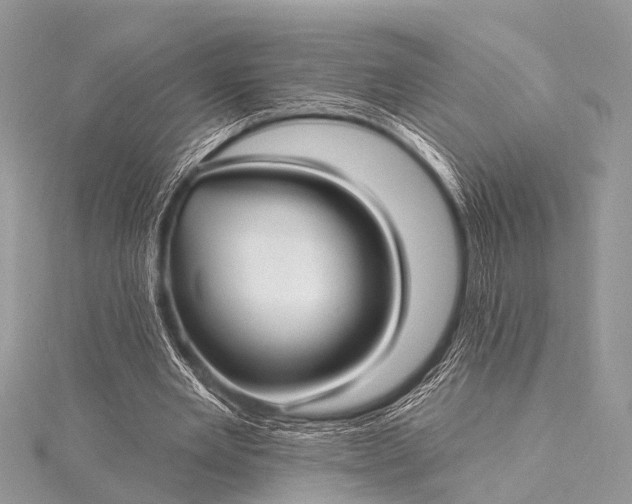 X0000115530485200911201722