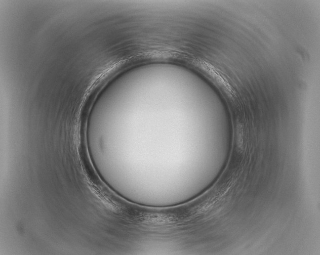 X0000115530486200911201722