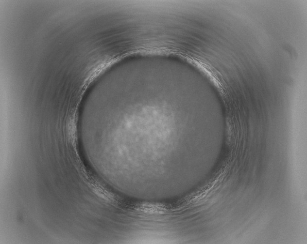 X0000115530487200911201722