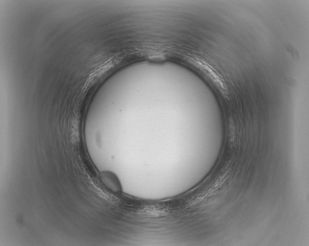 X0000115530489200911201722