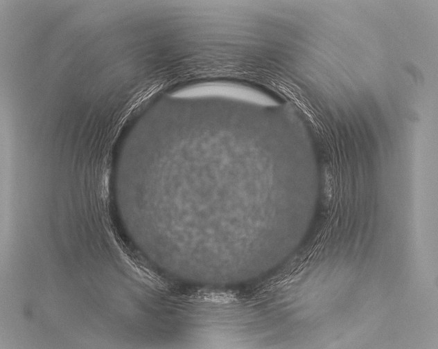 X0000115530491200911201722