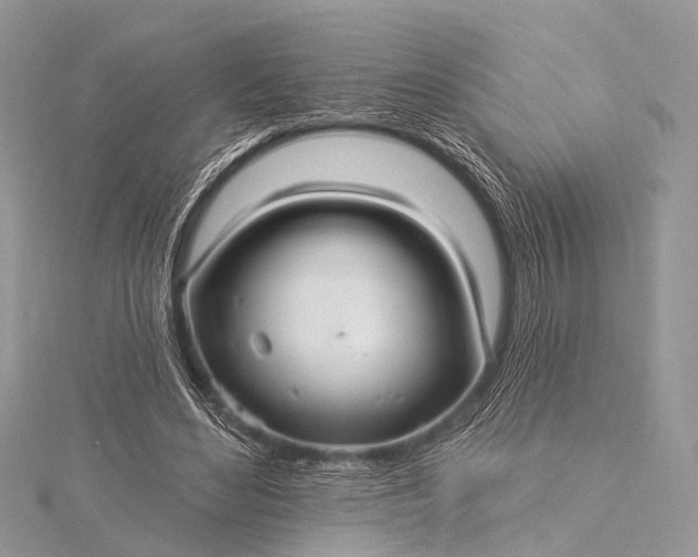 X0000115530492200911201722