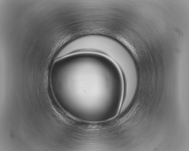 X0000115530493200911201722