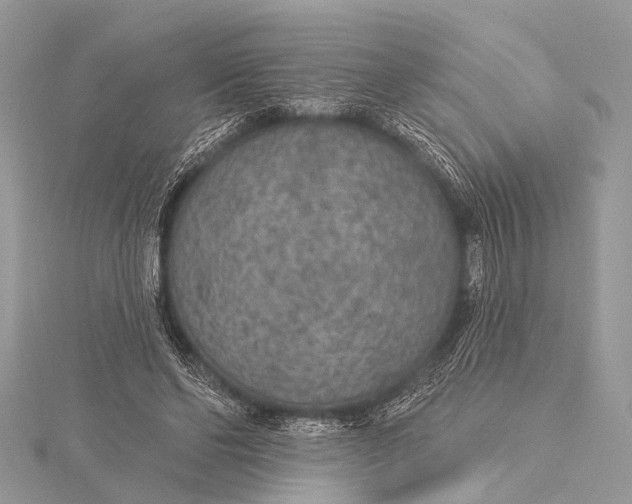 X0000115530494200911201722