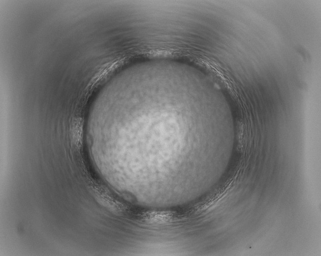 X0000115530495200911201722