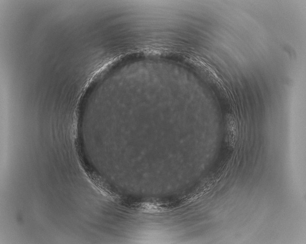 X0000115530496200911201722