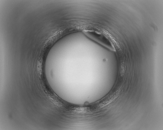 X0000115530497200911201722