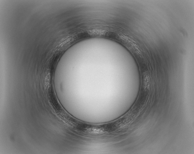 X0000115530498200911201722