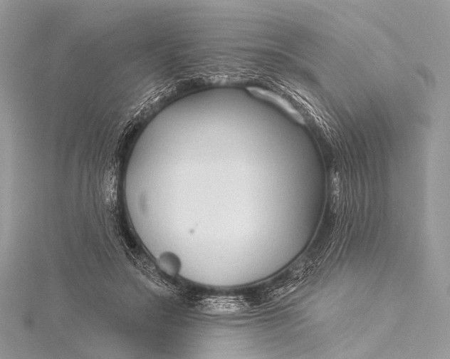 X0000115530499200911201722