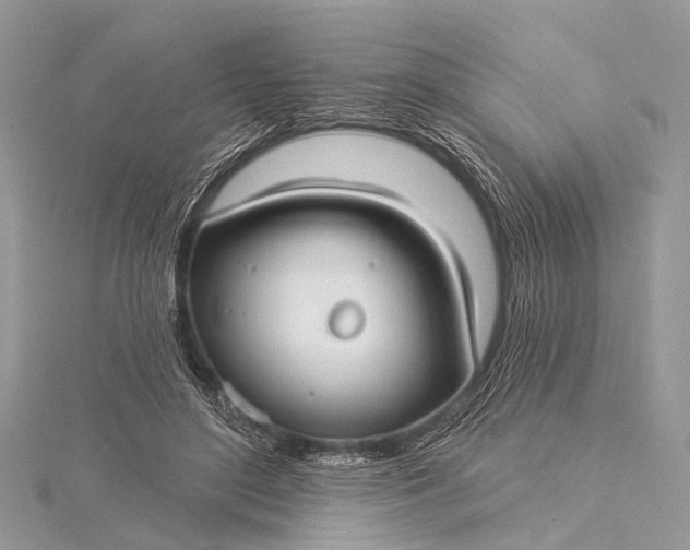 X0000115530500200911201722