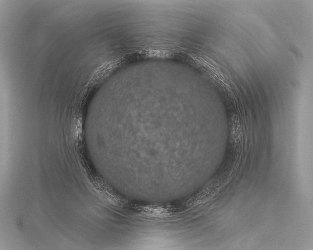 X0000115530502200911201722